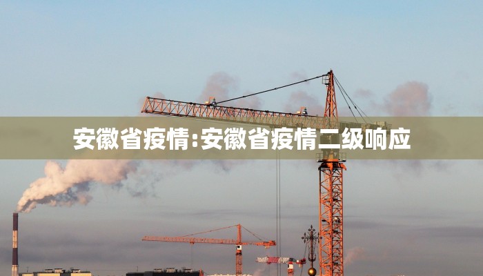 安徽省疫情:安徽省疫情二级响应