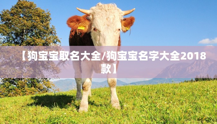 丽江疫情(丽江疫情确诊最新消息)