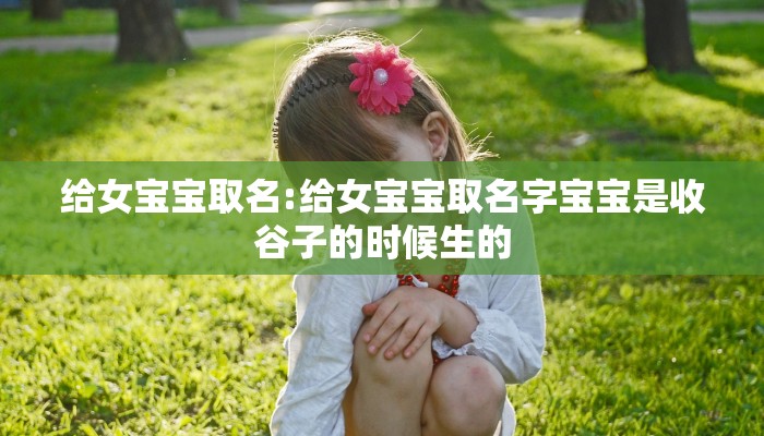 物流单号查询（物流单号查询自动查询6603961）