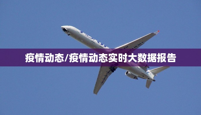 疫情动态/疫情动态实时大数据报告