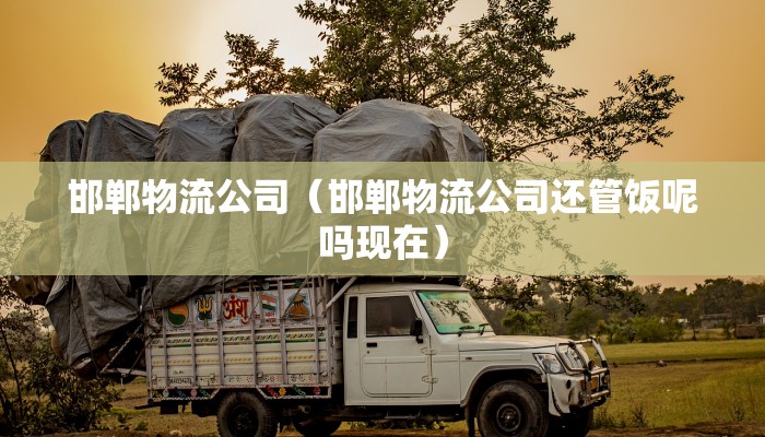 邯郸物流公司（邯郸物流公司还管饭呢吗现在）