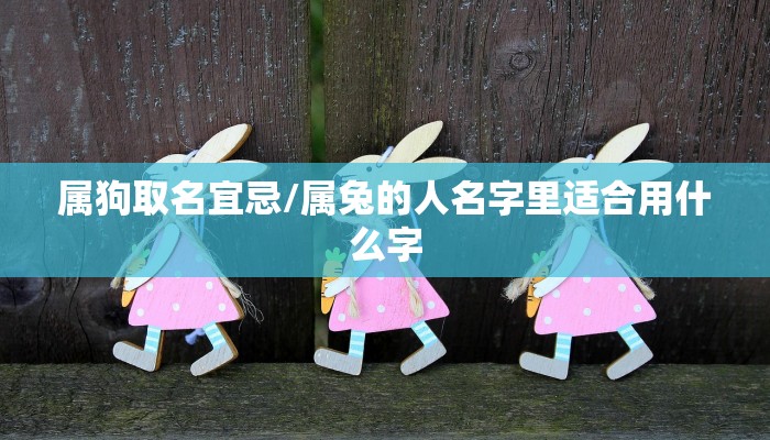 【国际物流标准化/国际物流标准化的意义】