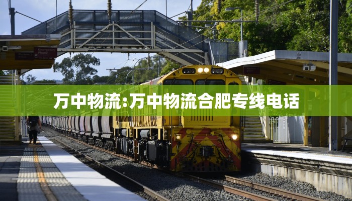 万中物流:万中物流合肥专线电话