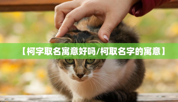 【柯字取名寓意好吗/柯取名字的寓意】