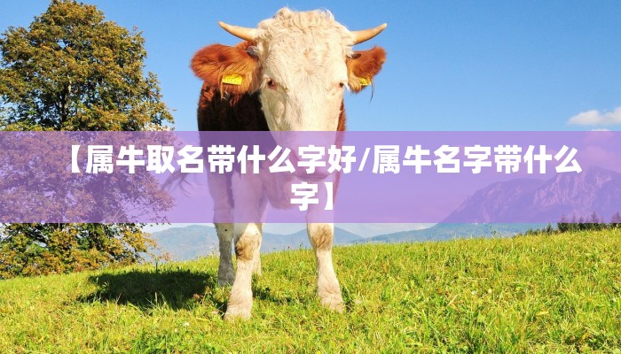 【属牛取名带什么字好/属牛名字带什么字】