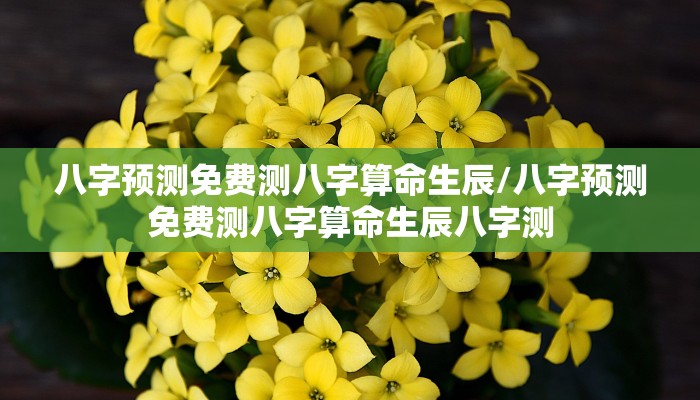 八字预测免费测八字算命生辰/八字预测免费测八字算命生辰八字测