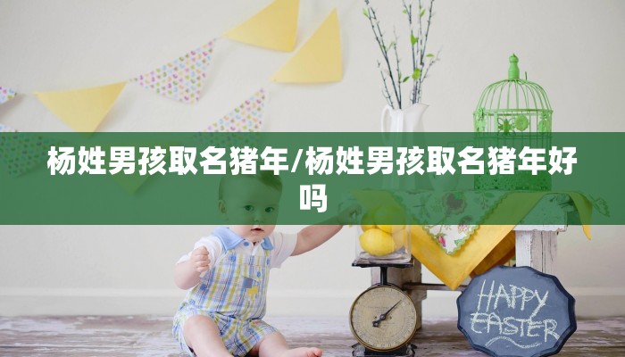 杨姓男孩取名猪年/杨姓男孩取名猪年好吗
