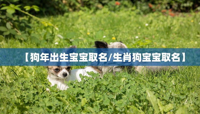 【狗年出生宝宝取名/生肖狗宝宝取名】