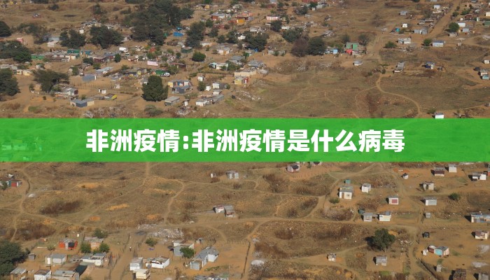 非洲疫情:非洲疫情是什么病毒