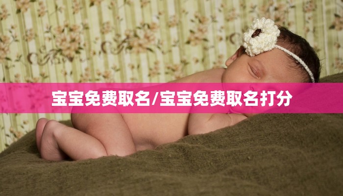 宝宝免费取名/宝宝免费取名打分