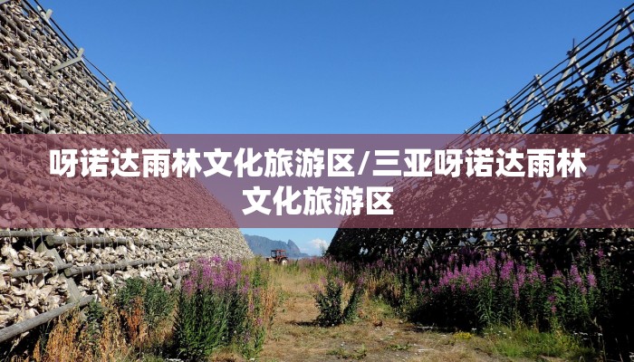 呀诺达雨林文化旅游区/三亚呀诺达雨林文化旅游区