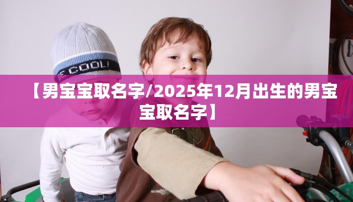 【男宝宝取名字/2025年12月出生的男宝宝取名字】