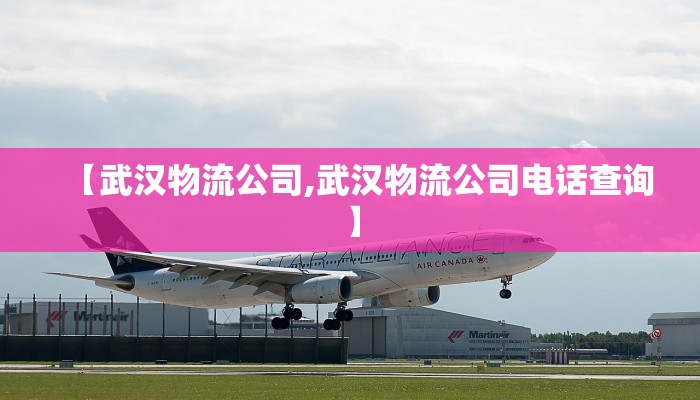 越丰物流/越丰物流有限公司