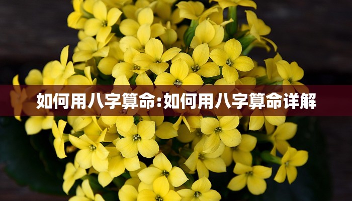 如何用八字算命:如何用八字算命详解
