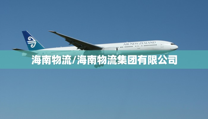 海南物流/海南物流集团有限公司