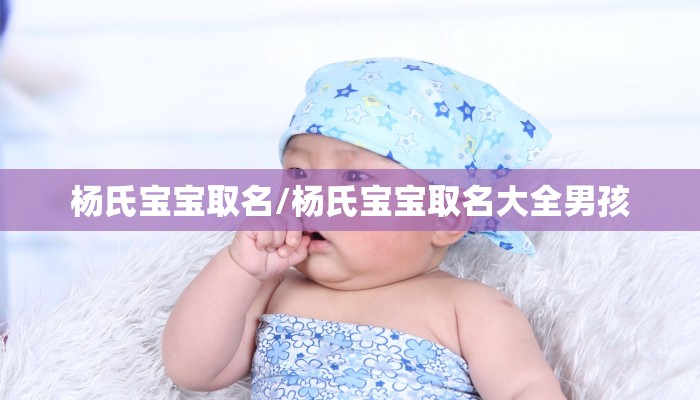 杨氏宝宝取名/杨氏宝宝取名大全男孩