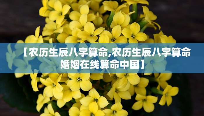 【农历生辰八字算命,农历生辰八字算命婚姻在线算命中国】