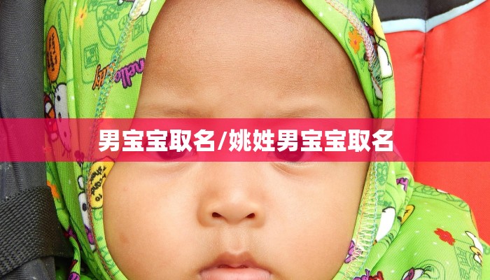 男宝宝取名/姚姓男宝宝取名