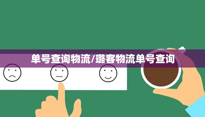单号查询物流/璐客物流单号查询