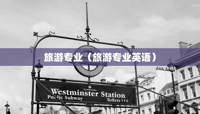 旅游专业（旅游专业英语）