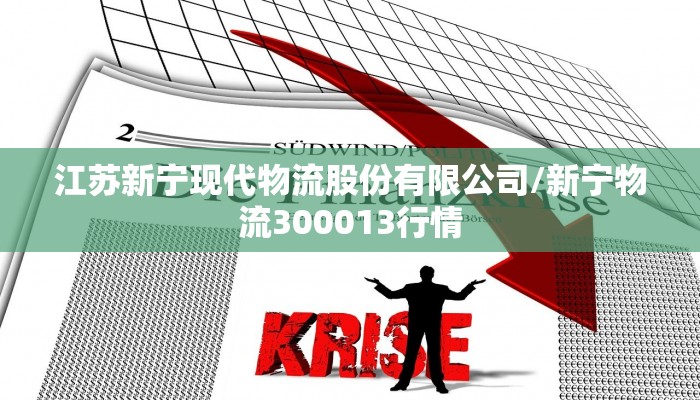 江苏新宁现代物流股份有限公司/新宁物流300013行情