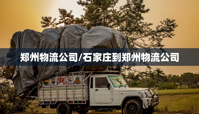 郑州物流公司/石家庄到郑州物流公司