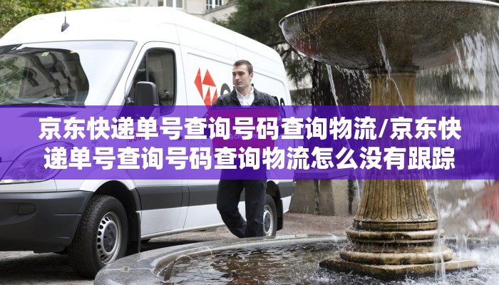 京东快递单号查询号码查询物流/京东快递单号查询号码查询物流怎么没有跟踪