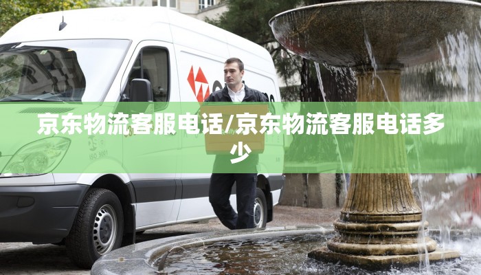 【京东购物流程/京东购物流程视频】