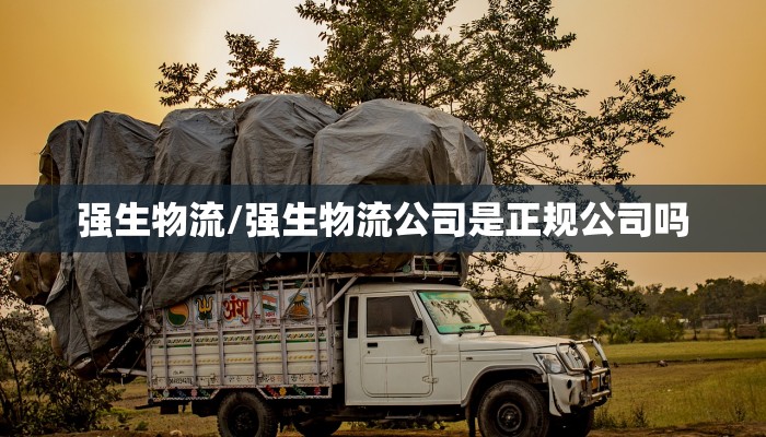 强生物流/强生物流公司是正规公司吗