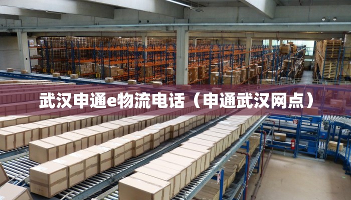 武汉申通e物流电话（申通武汉网点）