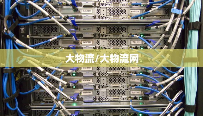 大物流/大物流网