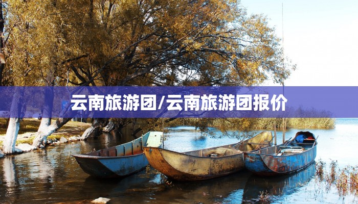 云南旅游团/云南旅游团报价